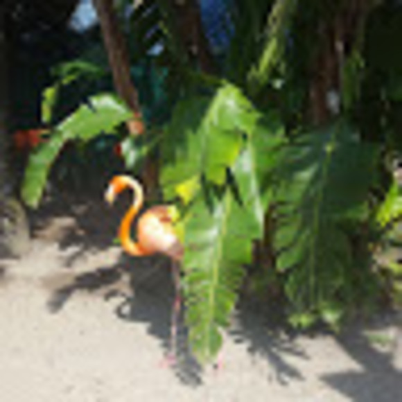 Meet your Posher, Wendy - Picture 1 of 1